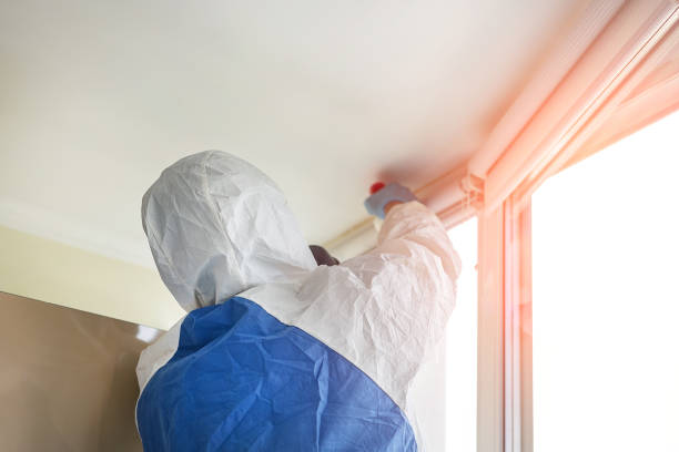 Best Mold Damage Restoration  in USA